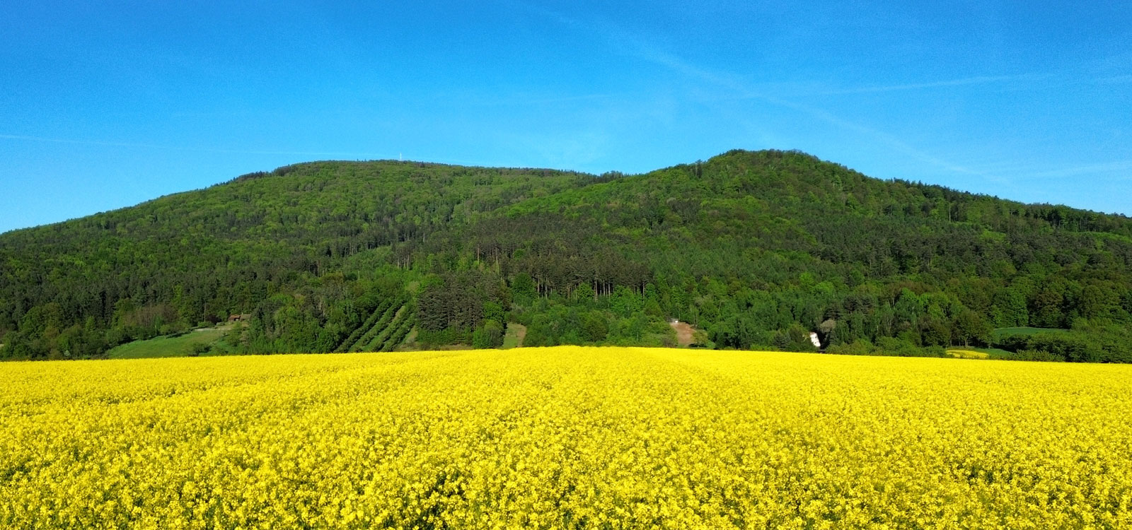 Góra Ślęża 718 m n.p.m