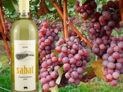 Wino Spod Ślęży - Sabat