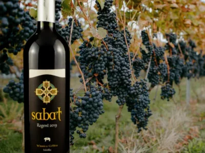 Wino Spod Ślęży - Sabat