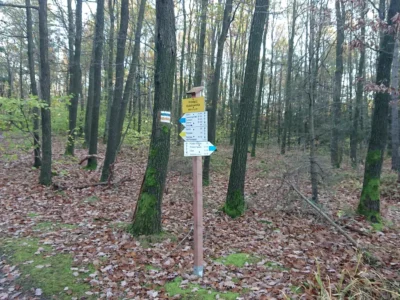 Żółty szlak z Przełęczy Sulistrowickiej do Piotrówka